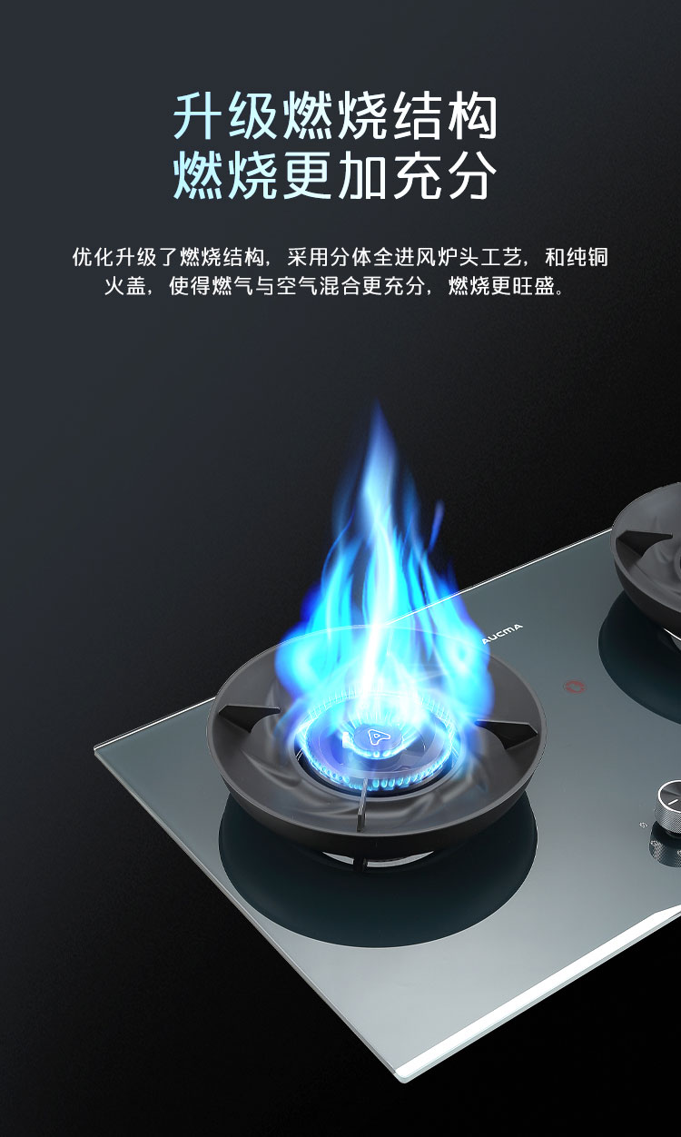 1692932534359324.jpg 燃气灶JZ--3A209B_03.jpg